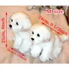 Bichon Frise Chiot Peluche Chien Maltais Peluche Jouet Mignon Simulation Animaux Fluffy Baby Poupées Cadeaux d'anniversaire pour enfants Drop 210728