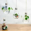 Suspension verre ampoule lampe forme fleur eau plante Vase plante artificielle conteneur maison intérieur bureau mariage décor cadeau