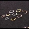 Ringar studs kroppsfall leverans 2021 punktering smycken real guld färg mikro inlagd zirkon näsring broskörhängen pfqo305i