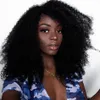 Афро странные вьющиеся человеческие волосы парики монгольский натуральный цвет u Частичный парик для чернокожих женщин 12-24 дюйма