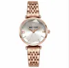 Ocassidy Nowy AC2456 Douyin Live Casual Fashion Damskie Zegarek Stalowy Zegarek