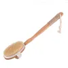 Body Brushes with Long Detachable Bamboo Handle Shower Bath Natural Boar Bristles Back Brush