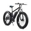 48v e bike