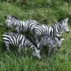 Original African Wild Lion Simulering Tiger Elephants Action Figur Farm Animal Figurines Modell Educational Leksaker Miniatures Dollouse