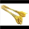 Dekorativa Kransar Festliga Party Supplies Hem GardenNatural Tassels Torkad Blommor Korg Barley Garden Decoration Arrangemang Flower Shop