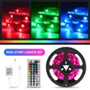 Şeritler 5m/10m/15m/20m RGB LED şerit ışık şerit bant IR ile IR 44Key Kontrolörlü Ev Noel Lightsled şeritli