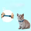 Cat Collar prowadzi Cute Collar Puppy Velvet Bow Kitetey Neck Decor Bowknot Naszyjnik z dzwonem dla kotów kotów Chihuahua Yorkie Dostawy