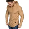 Sweat-shirt à capuche pour hommes, mode automne hiver décontracté, hauts légers à manches longues, couleur unie, pull à capuche, grande taille