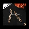 Jewelry Delivery 2021 Fashion Luxury Designer Diamond Zircon Braided Metal Long Drop Chandelier Dangle Stud Earrings For Woman Girls555 7Dgnj