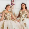 Sexy Sheer Long Sleeves Puffy Ball Gown Quinceanera Dresses Beaded Champagne Gols Lace Tulle Sequined Sweet 15 16 Dress XV Party Wear