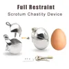 Cockrings Stainless Steel Scrotum Stretcher Egg Fully Restraint Male Chastity Cage Lock Devices Testis Penis Men BDSM Gear Sex Toys 1123