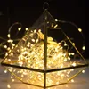 6Pcs 2M 3M Copper Wire LED String lights Holiday lighting Fairy Garland For Christmas Tree Wedding Party Decoration Lamp