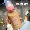 Cute Pacifier Glass Water Bottle With Straw Creative Personality Adult kid Nipple Bottle Portable Cup Water Bottles For Girls 210914