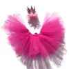 Holiday party Pet Dog Apparel Puppy Small Dogs Lace Skirt Princess Tutu Dress Clothes Costume With festival hat