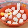 Luminous Squeeze Toy Cute Pet Seal Animal Pinching Pressure Reliever Stress Gifts Kawaii Style Color Random DLH315