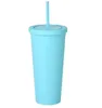 14 couleurs rose bleu 22OZ SKINNY TUMBLERS Tasses en acrylique de couleur mate avec couvercles et pailles Gobelet réutilisable en plastique à double paroi