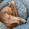 スーパーラージドッグベッドロングプラッシュラウンドドッグベッドペットプロダクト猫マット犬犬小屋暖かい寝ているペットクッションサプライ品ドロップ210915