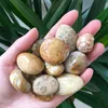 Decorative Objects & Figurines Price Natural Polished Coral Jade Tumbled Stones Healing Crystal For Home Decoration WR