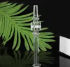 2021 6 inch glass straw nail mini nectar collector with thick pyrex glass clear honeycomb filter tips smoking hand pipes