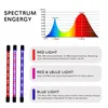 LED Cob Lead Grow Lights Timing 5 Dimbara nivåer Växtlampor för inomhusgrönsak med full spektrum rödblå justerbar goosen8448664