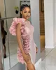 ASO EBI Sparkly Sequined Shede Prom Jurken Side High Split Floor Length Rose Pink Long Pageant Cocktail Party Dress One Mouw Juweel Neck Ruche Avondjurken