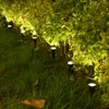 Luci a stringa solare per esterni Mini picchetto a terra impermeabile Disposizione della scena del percorso della luce Faretto da giardino a LED