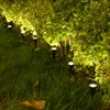 Outdoor Solar String Lights Vattentät Mini Ground Spike Light Pathway Scene Layout LED Garden Lawn Spotlight