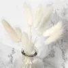 50 teile / los Natürliche echte getrocknete Blumen Pampas Gras Lagurus ovatus Rohe Farbe Kaninchen Schwanzgras Bouquet für Zuhause Hochzeit Dekor 210624