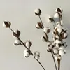 Декоративные цветы венки Флён сушеный цветок хлопчатобумажный ветвь 6 голова длинные симуляторы дерево дома свадебный декор искусственный