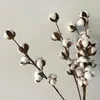 Decorative Flowers & Wreaths Flone Dried Flower Cotton Branch 6 Head Long Simulation Tree Home Wedding Decor Artificial