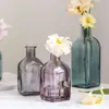 Kleurrijke glazen vaas transparante eenvoudige glazen fles tafel ambachten ornamenten huizendecoratie accessoires bloem vazen ​​voor huizen 210409
