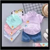 Sets kleding baby kinderen moederschap drop levering 2021 geboren dier zomer plaid shirt denim shorts opstellen baby jongens verjaardag kleding doek babi