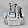 2021 Portable CryOlipolys Fett Frysning Slimming Maskin Vakuum Adipos Reduktion Kryoterapi Cryo Viktminskning Utrustning LLLT Lipo Laser Hemanvändning