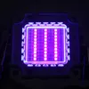 UV LEDチップランプビーズ釣りLED穂軸マニキュア紫ビーズ10W 20W 30W 50W 100W 395-400NM 900MA 9.0-11.0V 60-80LM 45mil 10pcs