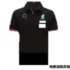 2021 포뮬러 1 공동 브랜드 자동차 로고 F1 팀 레이싱 슈트 짧은 소매 폴로 셔츠 통기성 반팔 둥근 목 셔츠 남성