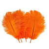 2021 Ny 15-20cm (6-8 tum) Real Natural Ostrich Feather Home Decor DIY Craft Ostrich Feathers Party Wedding Decorations Feather