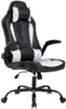 PC Gaming ColorGergonomic Office Desk Ord med ländryggsupport Flip Up Arms Neadrest PU Läder Executive High Back Computer Chair