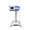 Spain in stock Orthopaedics Acoustic Shockwave Shock Wave Therapy Machine Zimmer Factory Price Can Offer Service Oem Odm