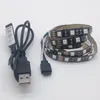 Remsor LED Strip Light PC 5 V RGB 5V 1M 60LED/M USB 3 mini 17 Key Controller Waterproof Tape Diode Lamp TV Backlight