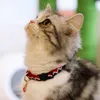 collar tags for cats