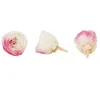 2-3cm / 21pcs、グレードA保存オースティンバラの花の頭、結婚式のパーティーの装飾のための永遠の小さなバラ、イベントの日のギフトボックスBoval 210624