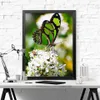 Evershine Full Square Round Painting Butterfly Flower Diamond Embroidery Cross Stitch Rhinestone Mozaïek Art Home Decor