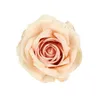 50ピース造花高品質偽のバラの結婚式のブライダルクリアランスアクセサリー装飾的な家の装飾DIYギフトキャンディボックス211120