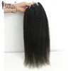 Cheveux humains en vrac Kinky Straight I Tip Microlinks 100 Extensions de faisceaux de tissage vierge Ever Beauty6507892