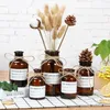 2pcs/lot Lab Supplies Clear Glass Vase Small Brown Bottle Flower Nordic Decoration Home Dried Hydroponic Terrarium Decor