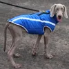 QICCO Sarı Sıcak Tasarımcı Köpek Kış Giysileri Orta Büyük Köpekler Için Pet Yelek Jacketpet Altın Labrador Köpek Giyim
