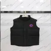 Gilet da uomo 2021FW Gilet antivento caldo senza piumino senza maniche Cappotti esterni comodi da donna con distintivo 3D all'ingrosso