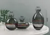 3PCS Classic Creative Mini Vase Top -Quality -Glas transparent Home Deco Wohnzimmer Reagenzflaschen Blume Vase Whole236L7083926