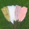 Sublimation Decorative Flowers Greaths 1branch 12forks 86 cm Pampe artificiali Pampe Artificiale Grass Decor Fales Reed Simulazione Flower Plant Wedding Party Home Garden