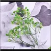 Wieńce świąteczne dostawy przyjęcia ogród20cm naturalne rośliny suszone kwiaty gypsophila miniaturowy nieśmiertelny bukiet dla kreatywnych handmade home decora